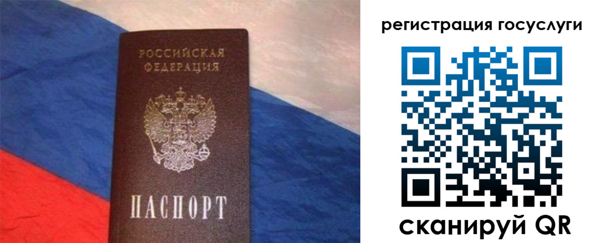 временная регистрация гарантия в Владимирской области